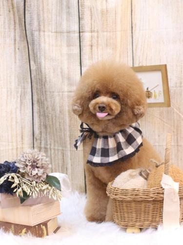 20241024こじろうくん